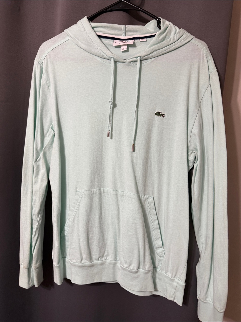 Lacoste Mint Green Hooded Pullover with Crocodile Logo